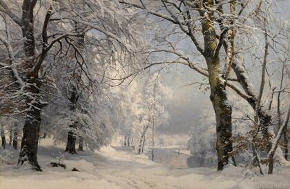 Forest In Winter