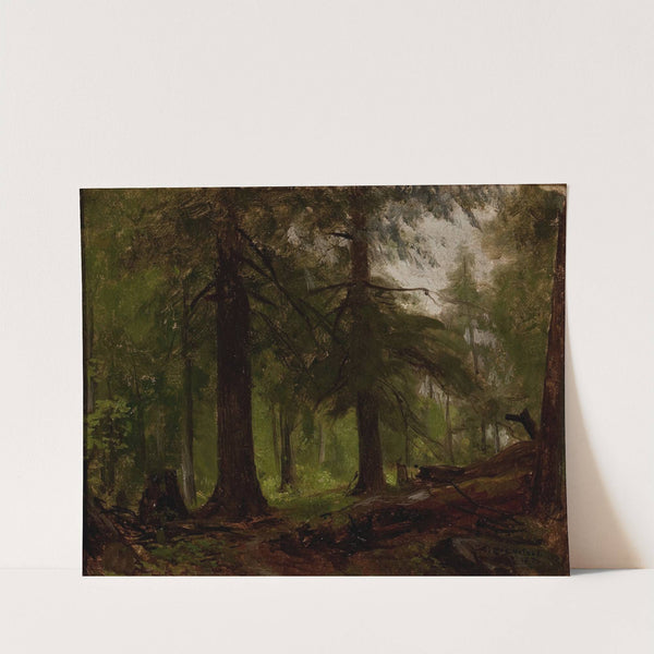 Forest Interior by George Hetzel