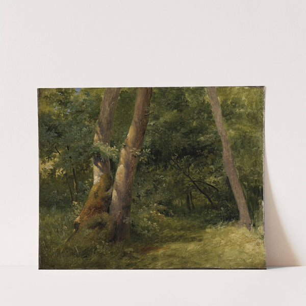 Forest interior by Achille Etna Michallon