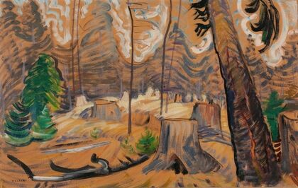 Forest Interior