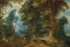 Forest landscape