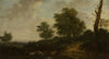 Forest landscape