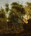 Forest landscape