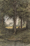 Forest Landscape