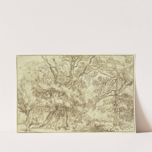 Forest landscape (ca 1650-1669) by Jan Lievens