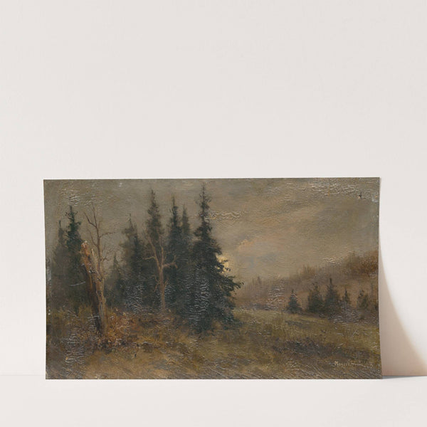 Forest Landscape (1903) by Felicián Moczik