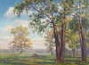 Forest Landscape