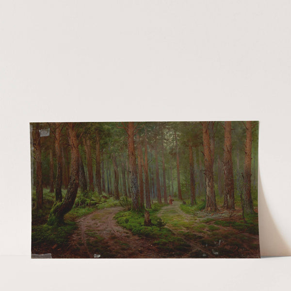 Forest Landscape (1894) by Karl Klopfer