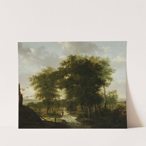 Forest landscape by Kazimierz Żwan