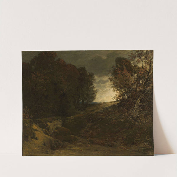 Forest landscape with a creek by Ludwig Willroider