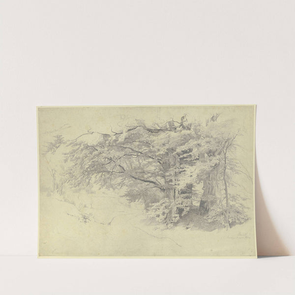 Forest near Bernried by Philipp Röth