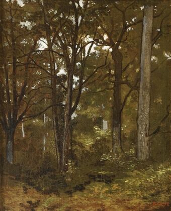 Forest Of Fontainebleau