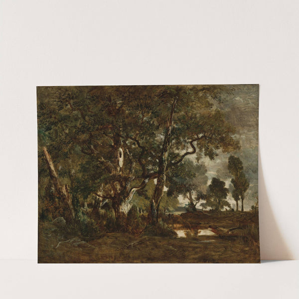 Forest of Fontainebleau, Cluster of Tall Trees Overlooking the Plain of Clair-Bois at the Edge of Ba… by Théodore Rousseau