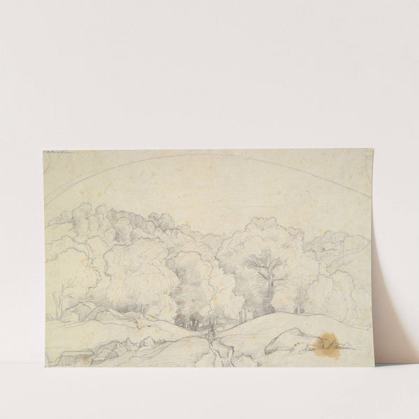 Forest of Fontainebleau (Rideau d’arbres et chemin en foret de Fontainebleau) by François Edouard Bertin