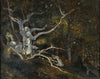 Forest Of Fontainebleau, The ‘reine Blanche’
