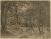 Forest path