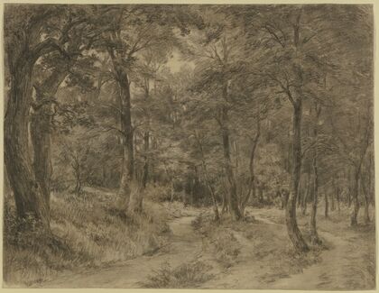 Forest path