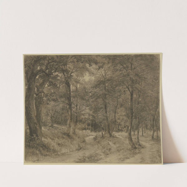 Forest path by Adolf Hoeffler