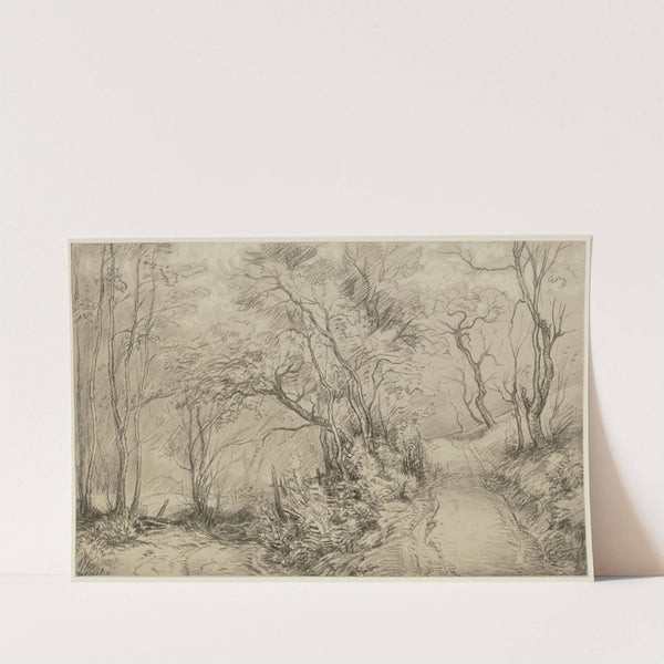 Forest path by Peter Burnitz