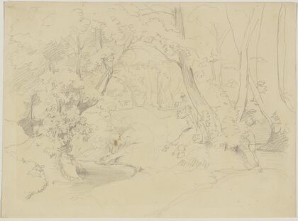 Forest path