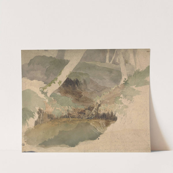 Forest Pool by Robert Hills