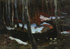 Forest rivulet