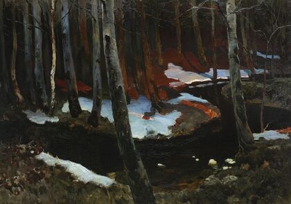 Forest rivulet