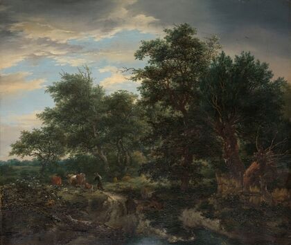 Forest scene