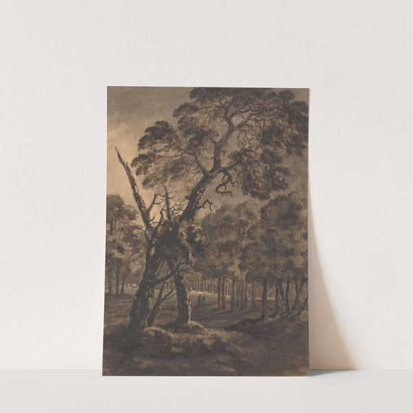 Forest Scene by William Gilpin