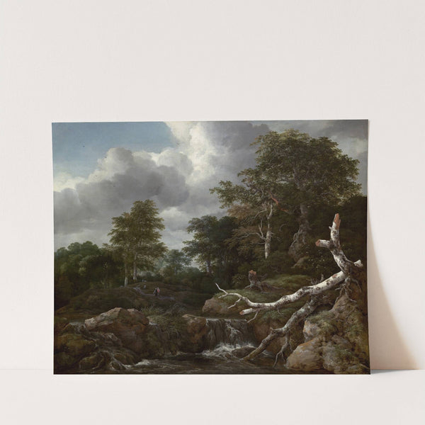 Forest Scene (c. 1655) by Jacob van Ruisdael