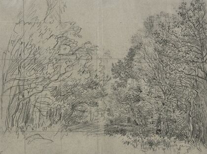 Forest section 2