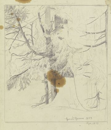 Forest section