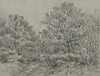 Forest section