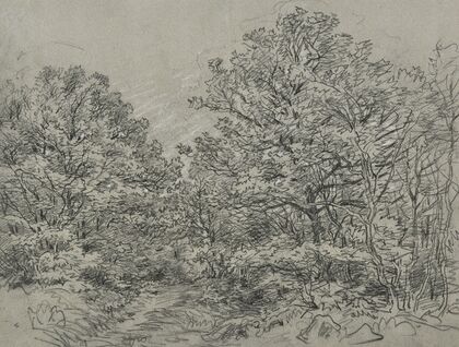 Forest section