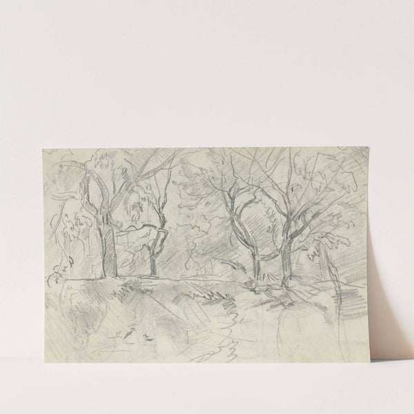 Forest section by Anton Burger