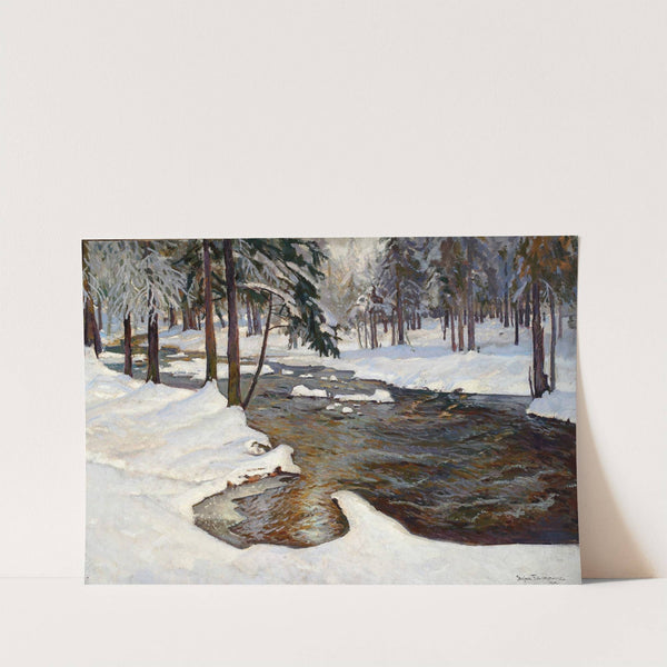 Forest stream in winter by Stefan Filipkiewicz