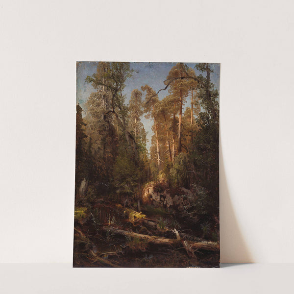 Forest Study (1851) by August Cappelen