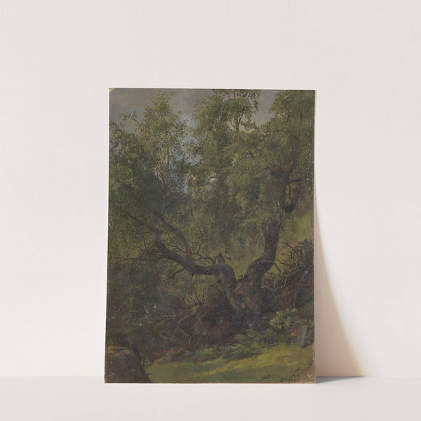 Forest Study from Numedal (1848) by Adolph Tidemand
