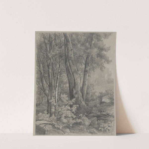 Forest Trees (19th century) by Asher Brown Durand