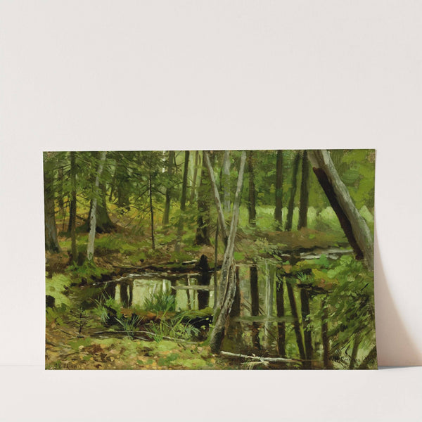 Forest Wilderness by Stanisław Witkiewicz