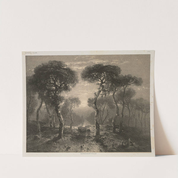 Forêt de Sierre en Valais (1843) by Alexandre Calame