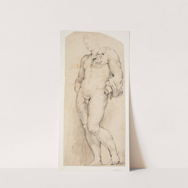 Forsiden af den antikke skulptur ’Belvedere Antinous’ set halvt vendt mod venstre by Willem Panneels