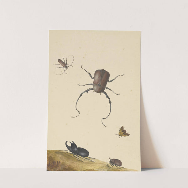 Four Beetles and a Flying Stink Bug by Nicolaas Struyk