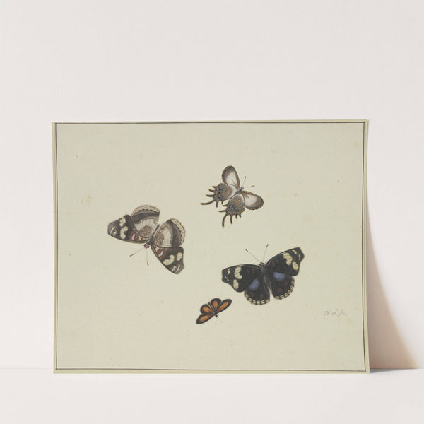 Four butterflies by Herman Henstenburgh