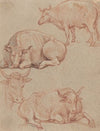 Four Cows