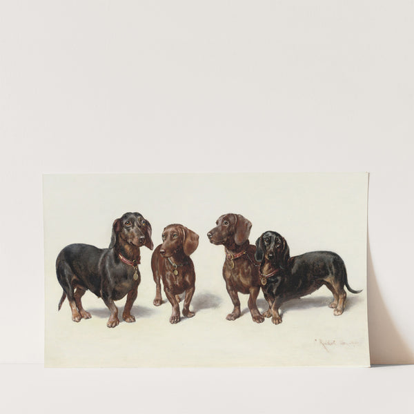 Four Dachshunds (1900) by Carl Reichert