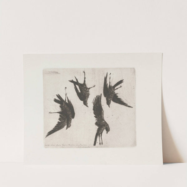 Four dead crows hanging from a wall (1856-1897) by Henri-Charles Guérard