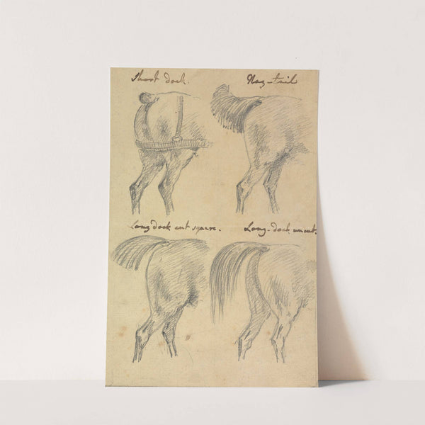 Four Sketches of Horse Tails by Sawrey Gilpin