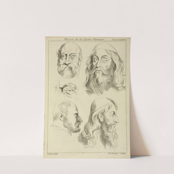 Four studies of men's heads, and an eye by Peter Paul Rubens