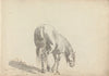 Fourty-three Studies of Horses and Riders Pl.02